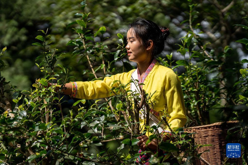 宝马游戏平台